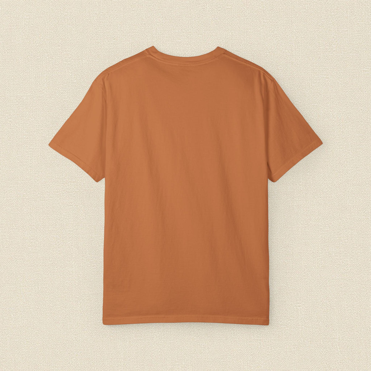 Walking With Jesus Every Day | Christian T-Shirt for Women